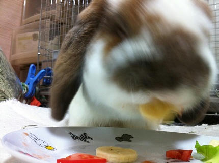 20111219_5.JPG