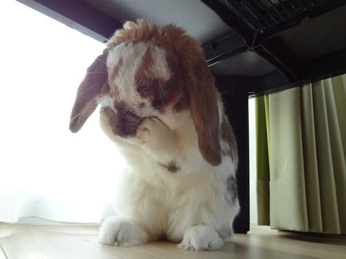 20111222_2.JPG