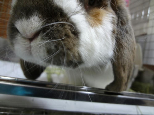 20111224_4.JPG