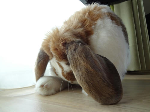 20111224_7.JPG