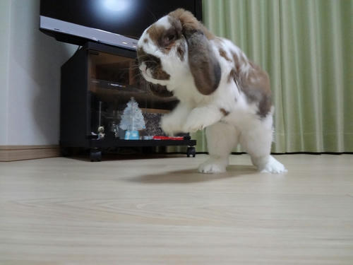 20111227_1.JPG