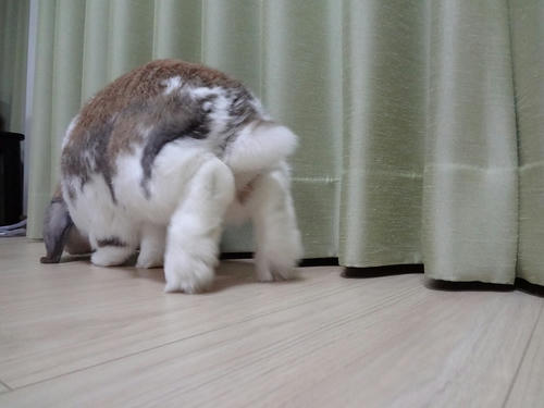 20120105_1.JPG