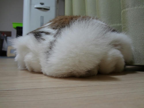 20121011_3.JPG
