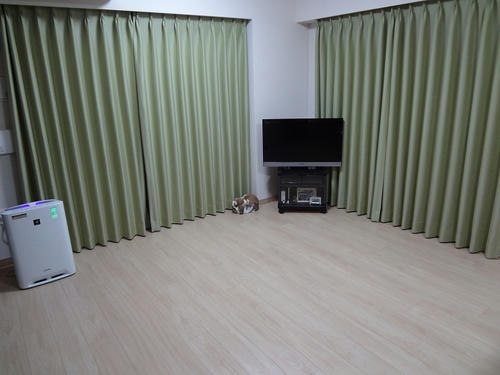 20120112.JPG