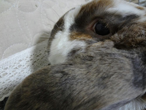 20120202.JPG