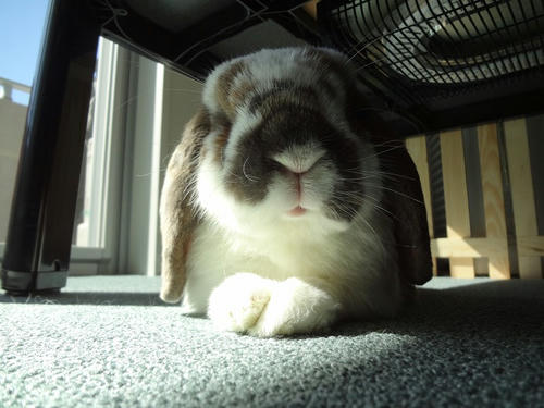 20120212.JPG