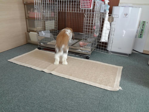 20120213_1.JPG