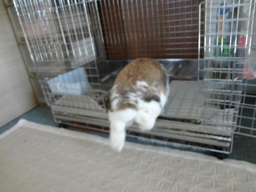 20120213_2.JPG