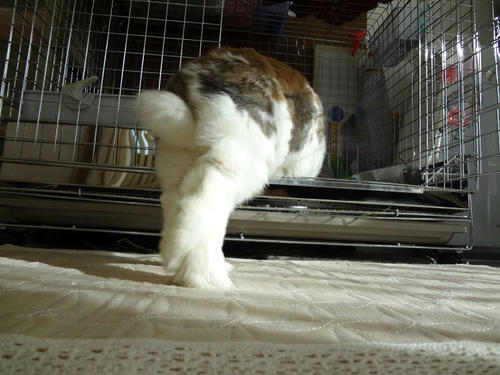 20120213_3.JPG