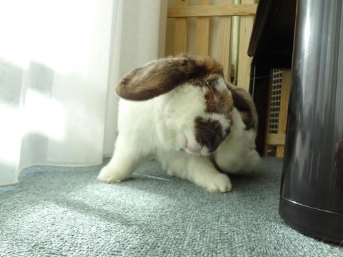 20120215.JPG
