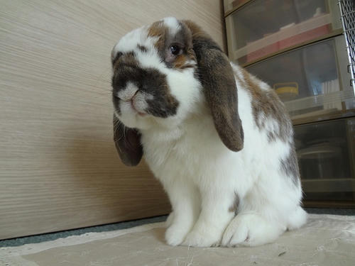20120216.JPG