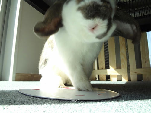 20120217.JPG