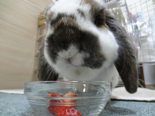 20120219_3.JPG