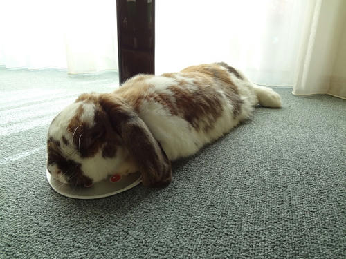 20120220.JPG