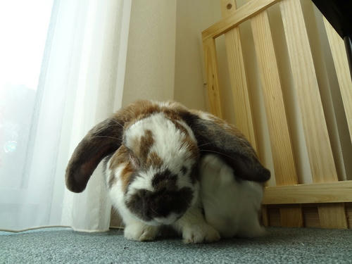 20120221_4.JPG