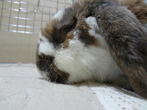 20120227.JPG