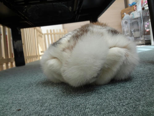 20120220_2.JPG