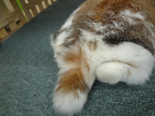 20120220_3.JPG