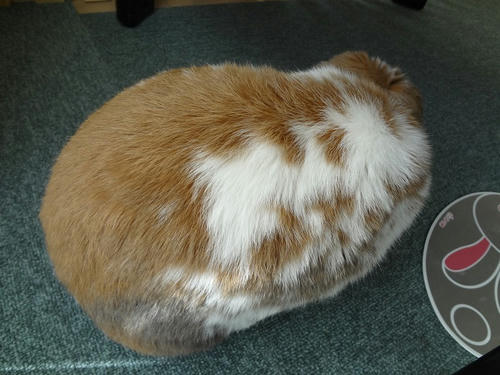 20120302.JPG
