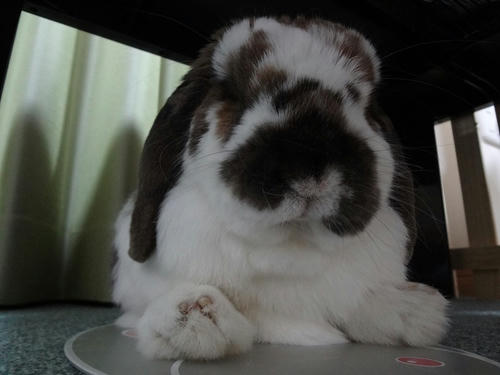 20120307_1.JPG