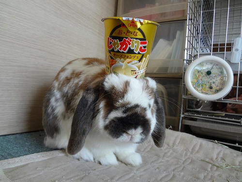 20120308.JPG