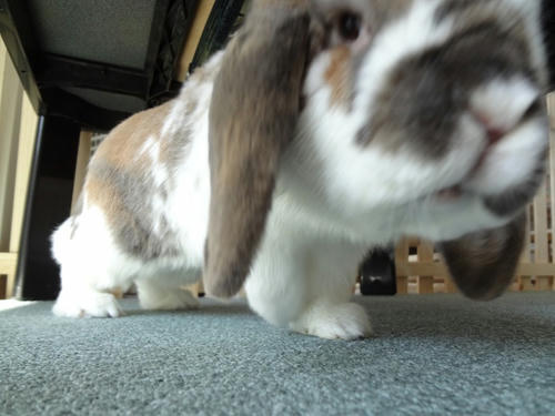 20120310.JPG