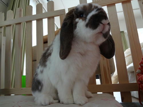 20120316.JPG