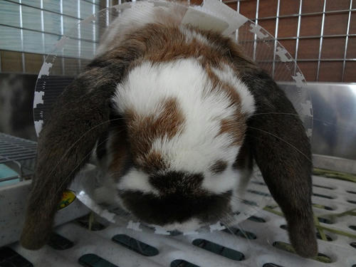 20120320_1.JPG