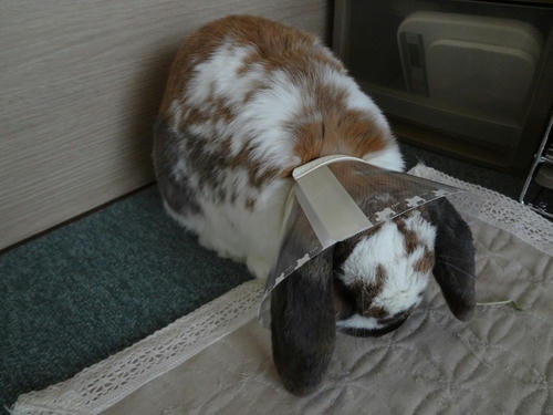 20120320_2.JPG