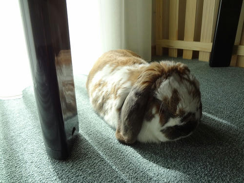 20120321.JPG