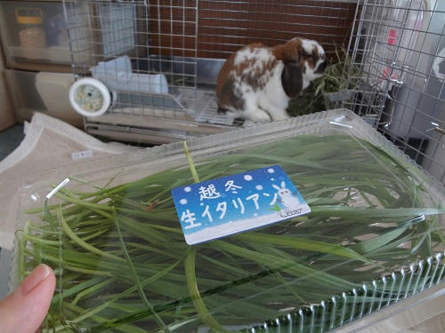 20120321_1.JPG