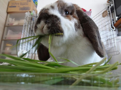 20120321_2.JPG