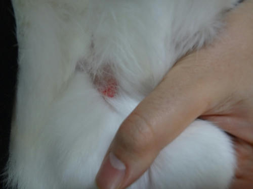 20120324_2.JPG