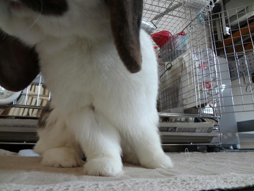 20120402_2.JPG