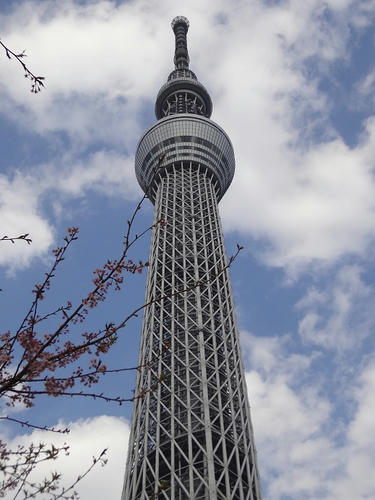 20120403_3.JPG