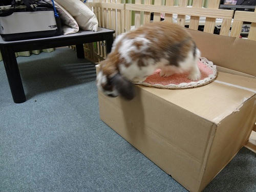 20120403_4.JPG