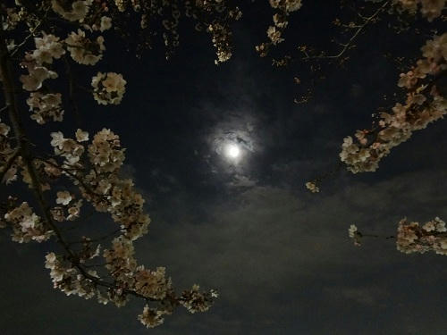 20120405_2.JPG