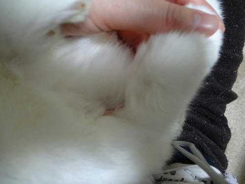 20120409_1.JPG