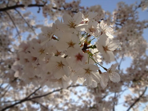20120409_2.JPG