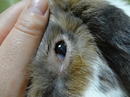 20120411_1.JPG