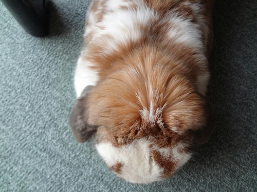 2012050201.JPG
