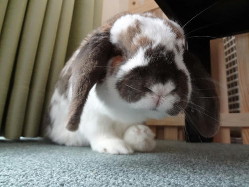 2012050204.JPG