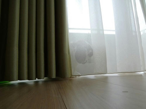 2012050302.JPG