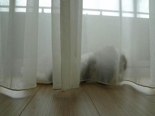 2012050303.JPG