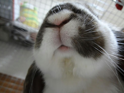 2012050304.JPG
