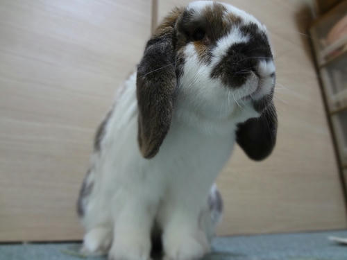 2012050307.JPG