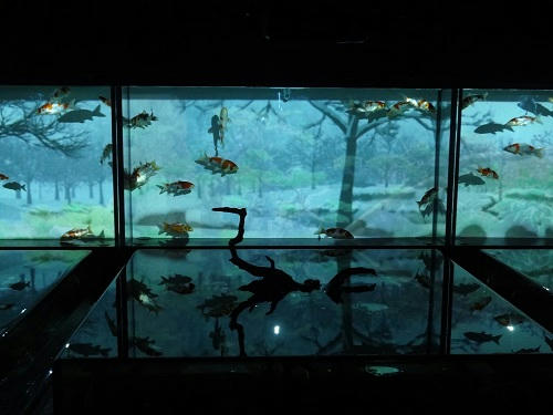 20121010_3.JPG