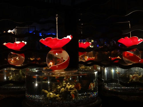 20121010_4.JPG