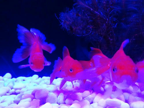 20121010_5.JPG