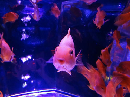 20121010_6.JPG